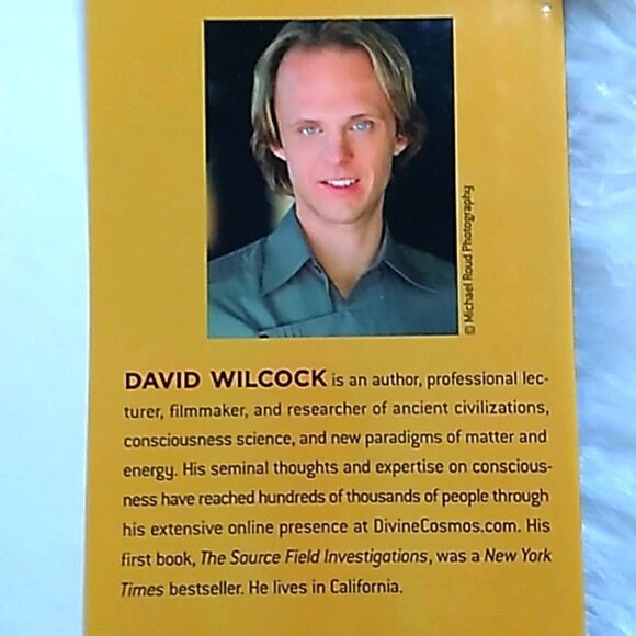 The Synchronicity Key hardcover book David Wilcox - Picture 10 of 12